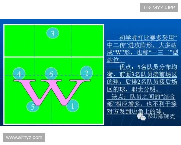 排球盛宴：深入解析北京排球队的灵活战术与团队协作之道